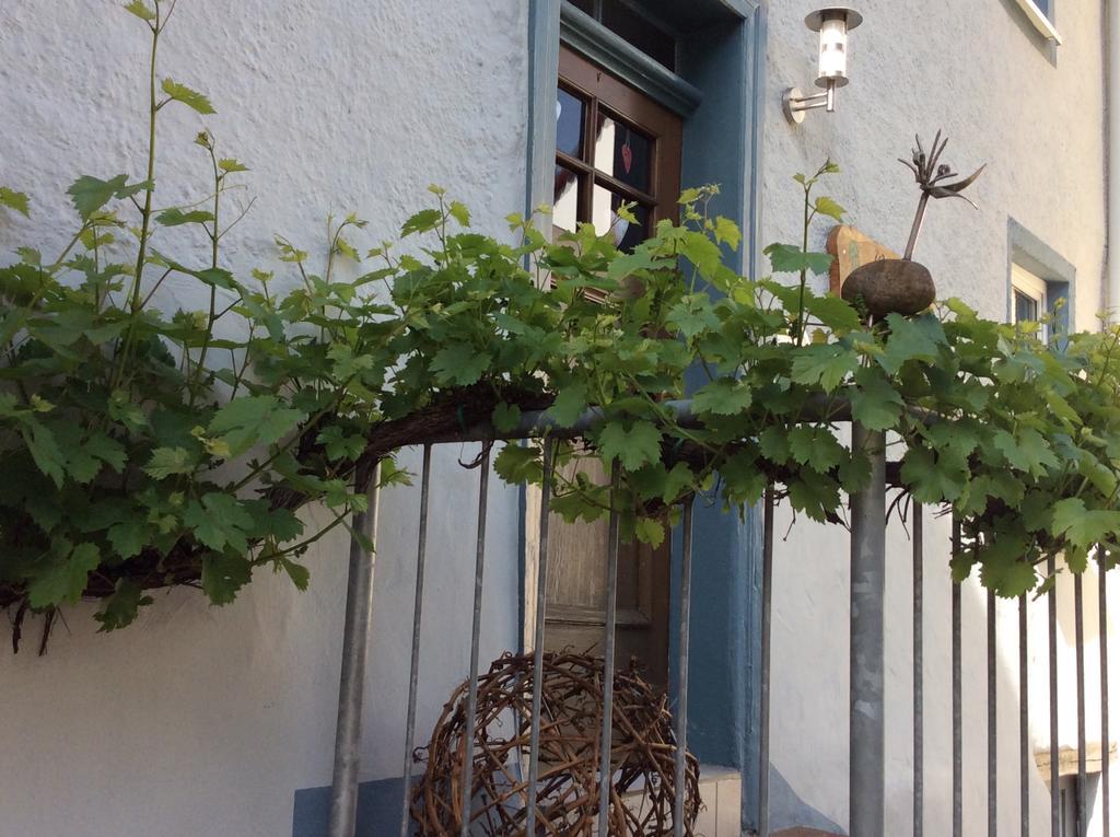 Winzerhaeuschen, Weingut Th. Mueller Apartment Reil Luaran gambar